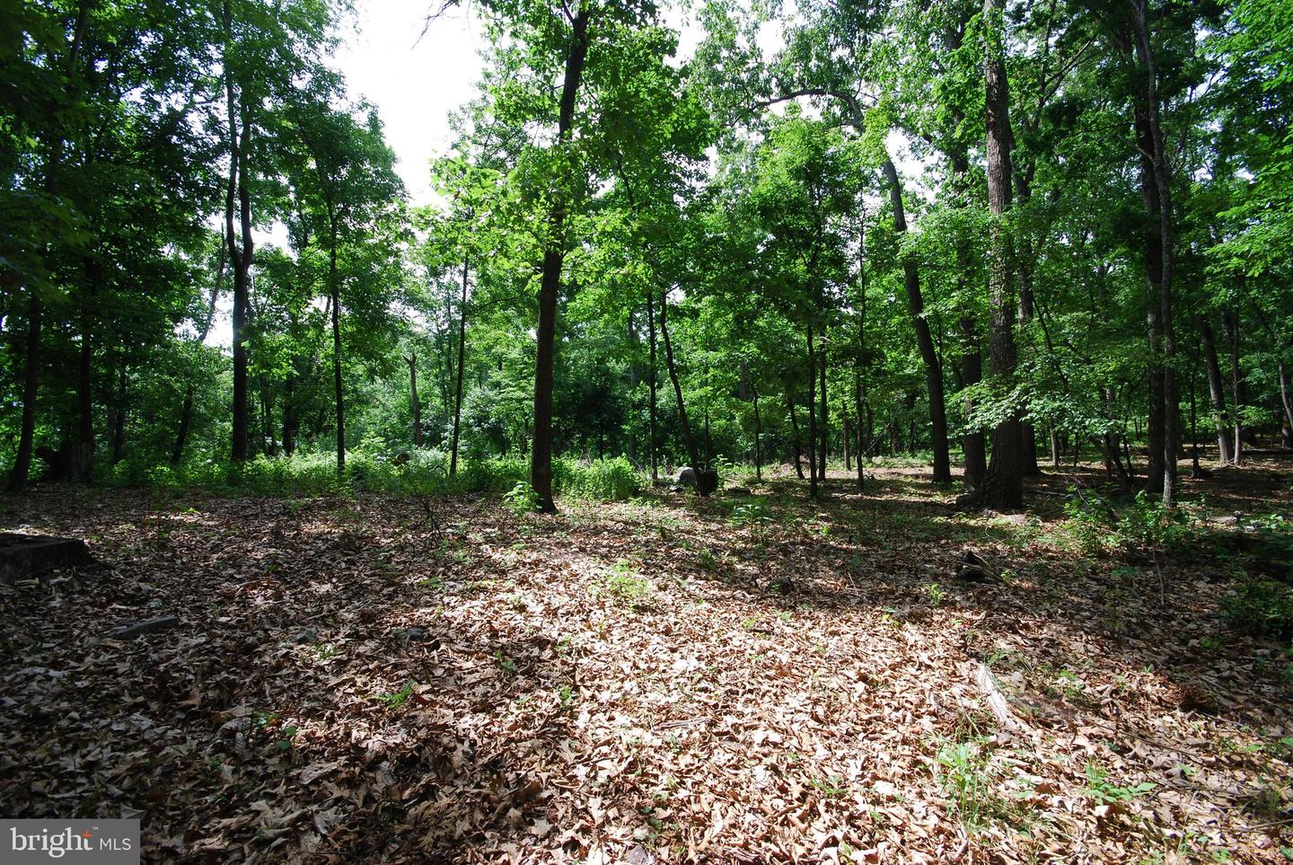 Lot 67 Mill Mountain Rd Property Photo 15
