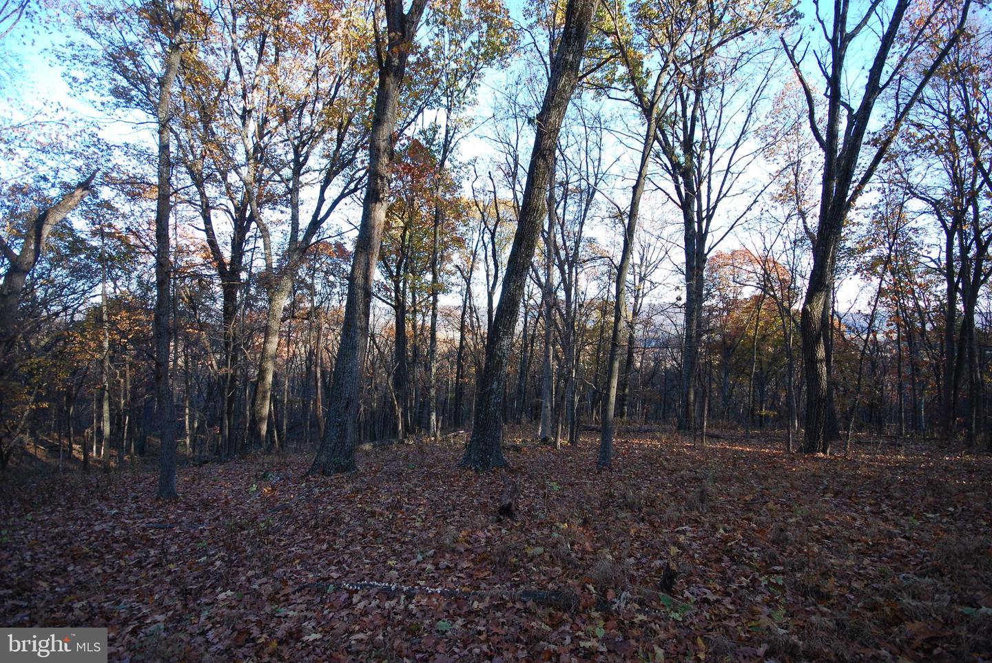 Lot 67 Mill Mountain Rd Property Photo 16