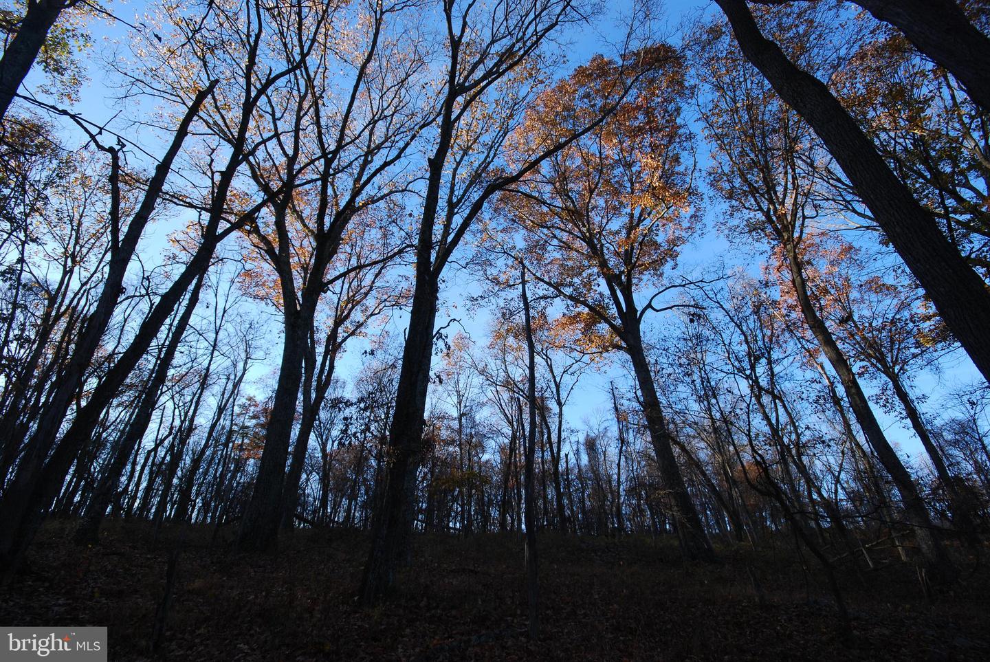 Lot 67 Mill Mountain Rd Property Photo 17