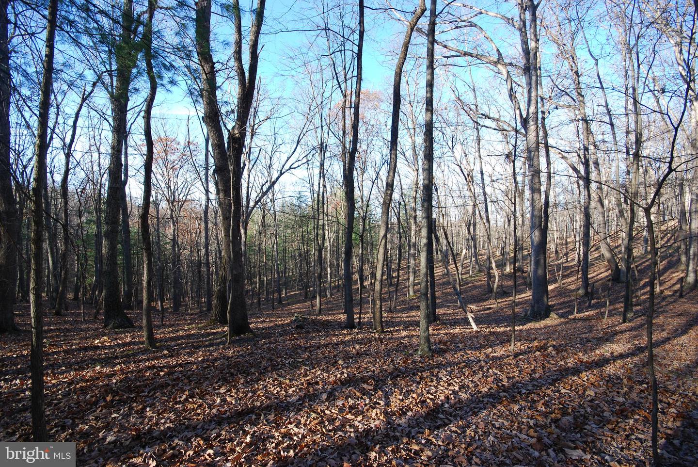 Lot 67 Mill Mountain Rd Property Photo 18