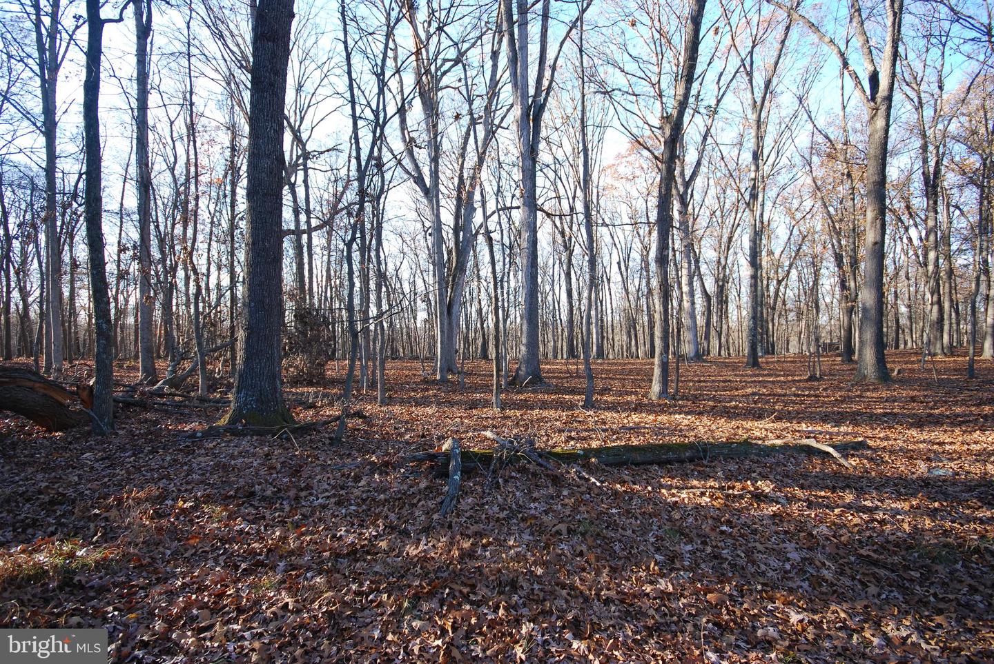 Lot 67 Mill Mountain Rd Property Photo 21
