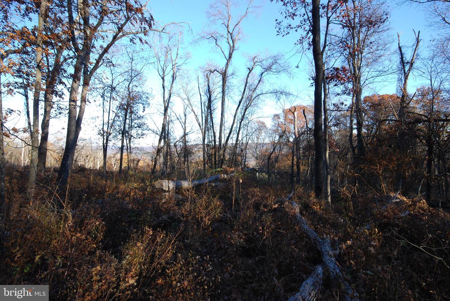 Lot 67 Mill Mountain Rd Property Photo 22
