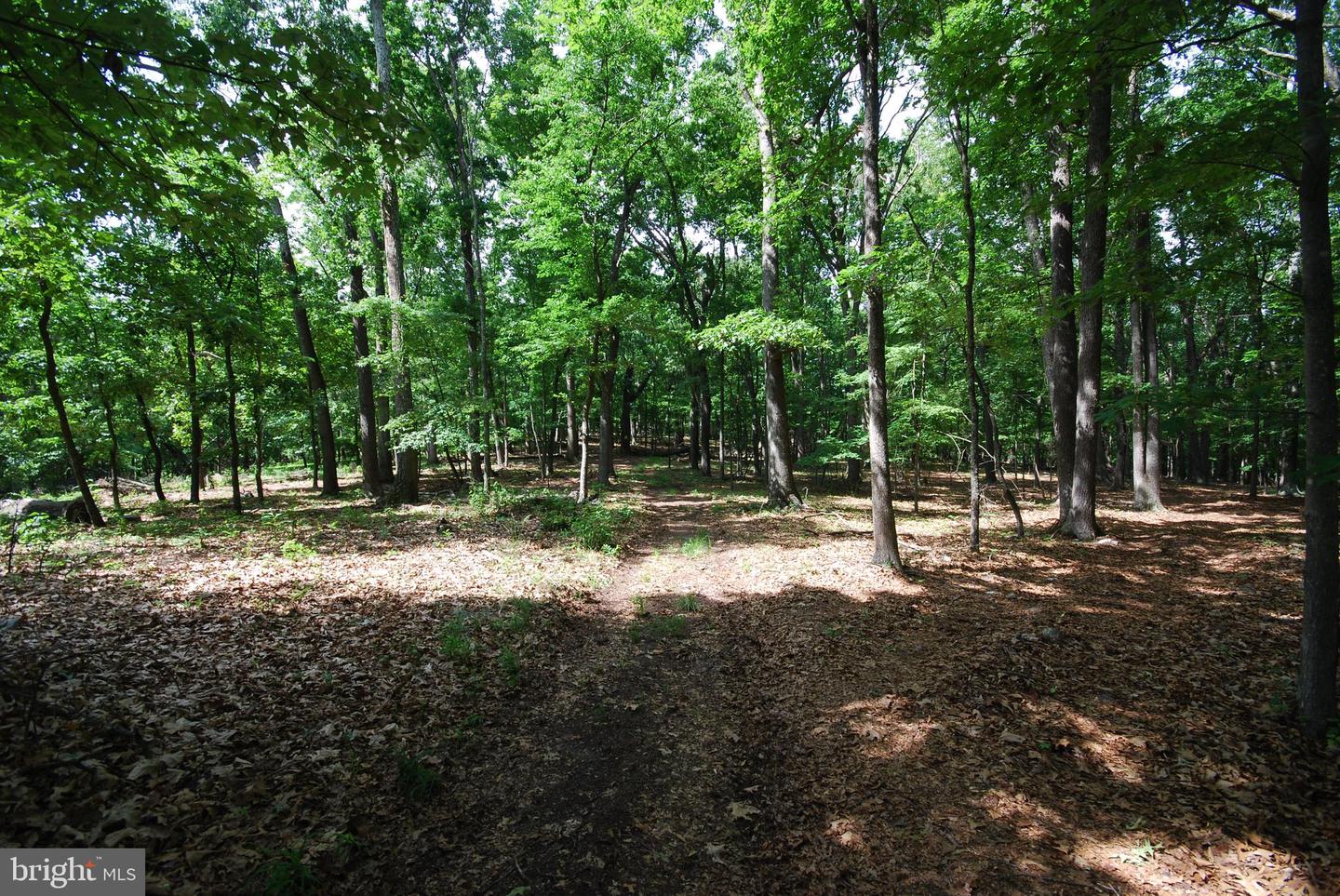 Lot 67 Mill Mountain Rd Property Photo 23