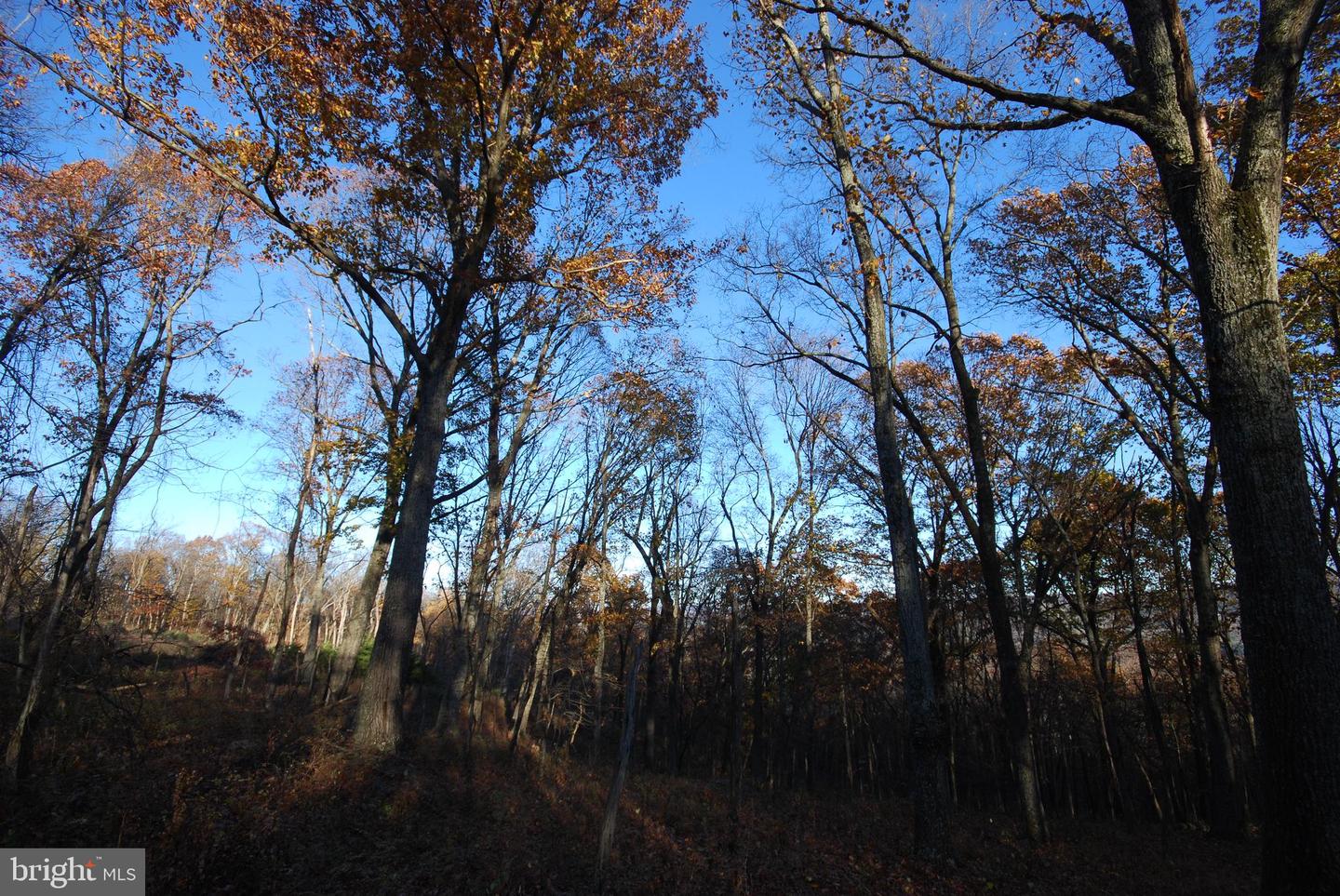 Lot 67 Mill Mountain Rd Property Photo 24