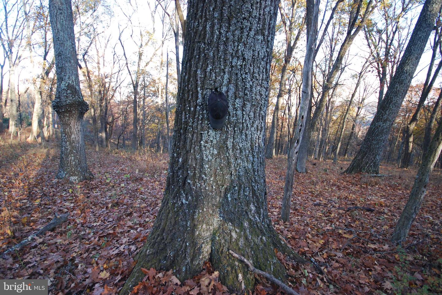 Lot 67 Mill Mountain Rd Property Photo 25