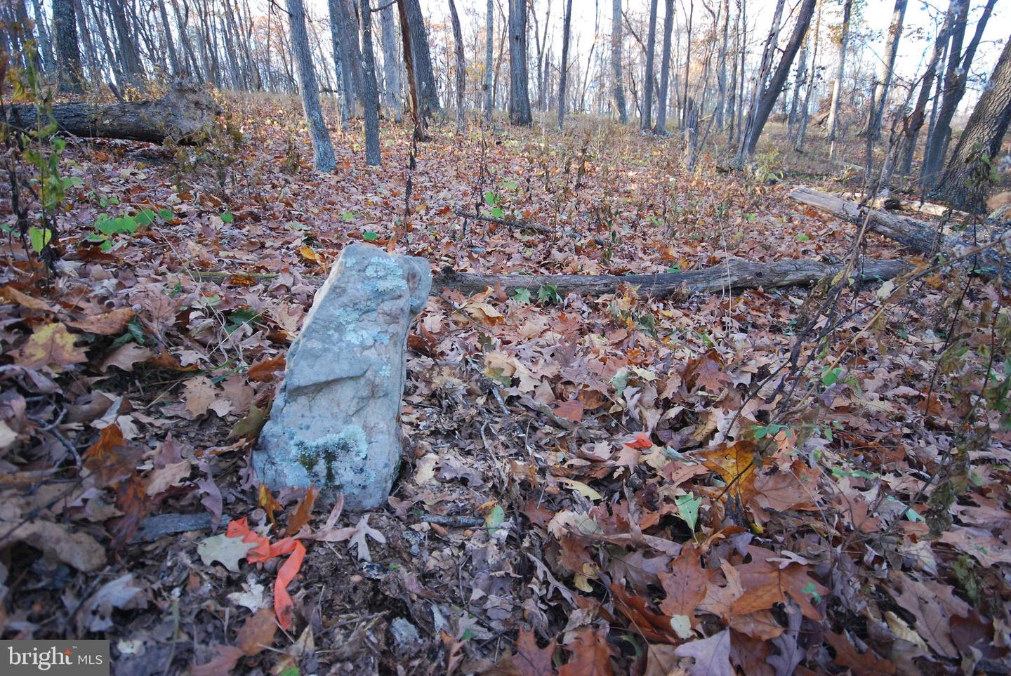 Lot 67 Mill Mountain Rd Property Photo 26