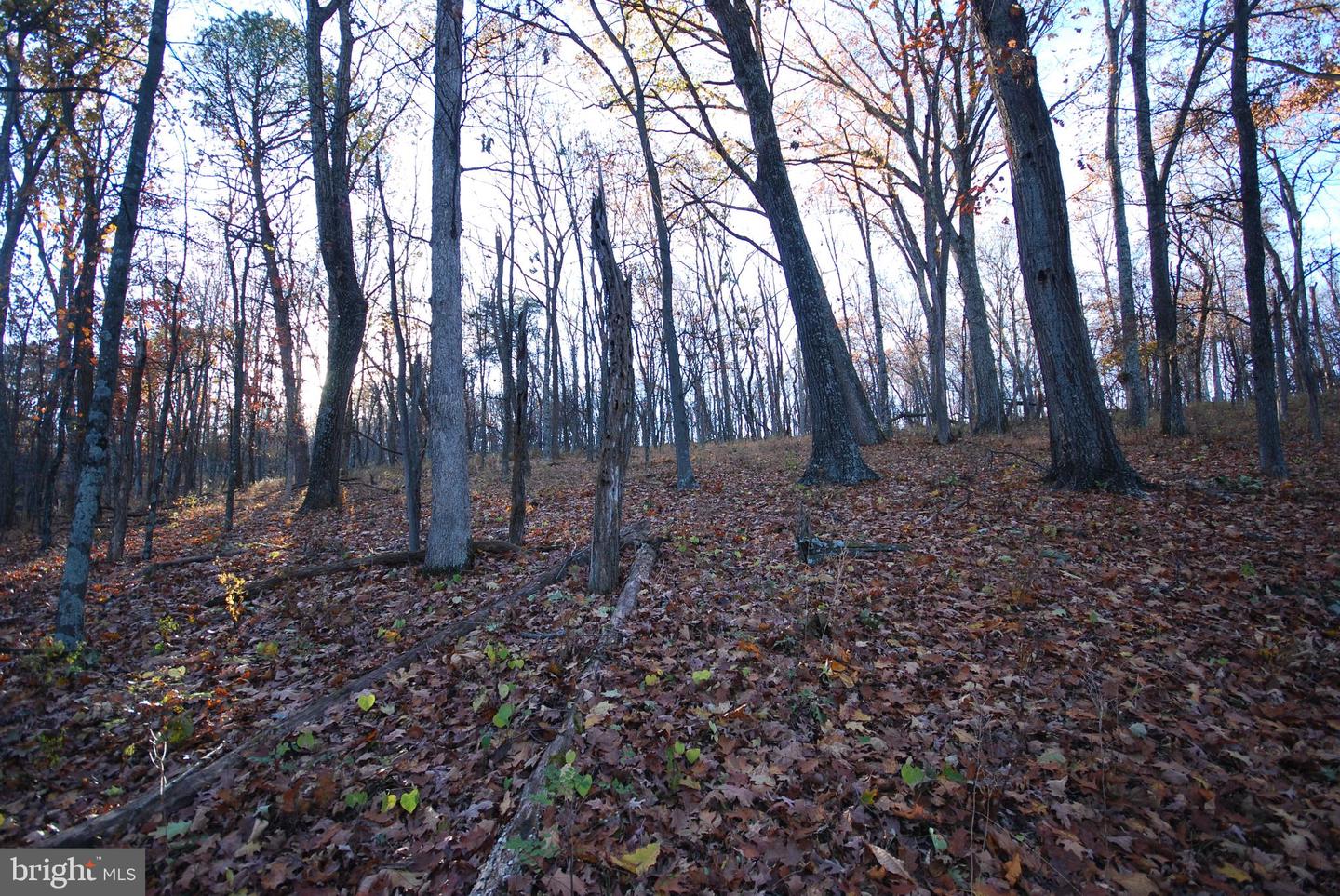 Lot 67 Mill Mountain Rd Property Photo 27