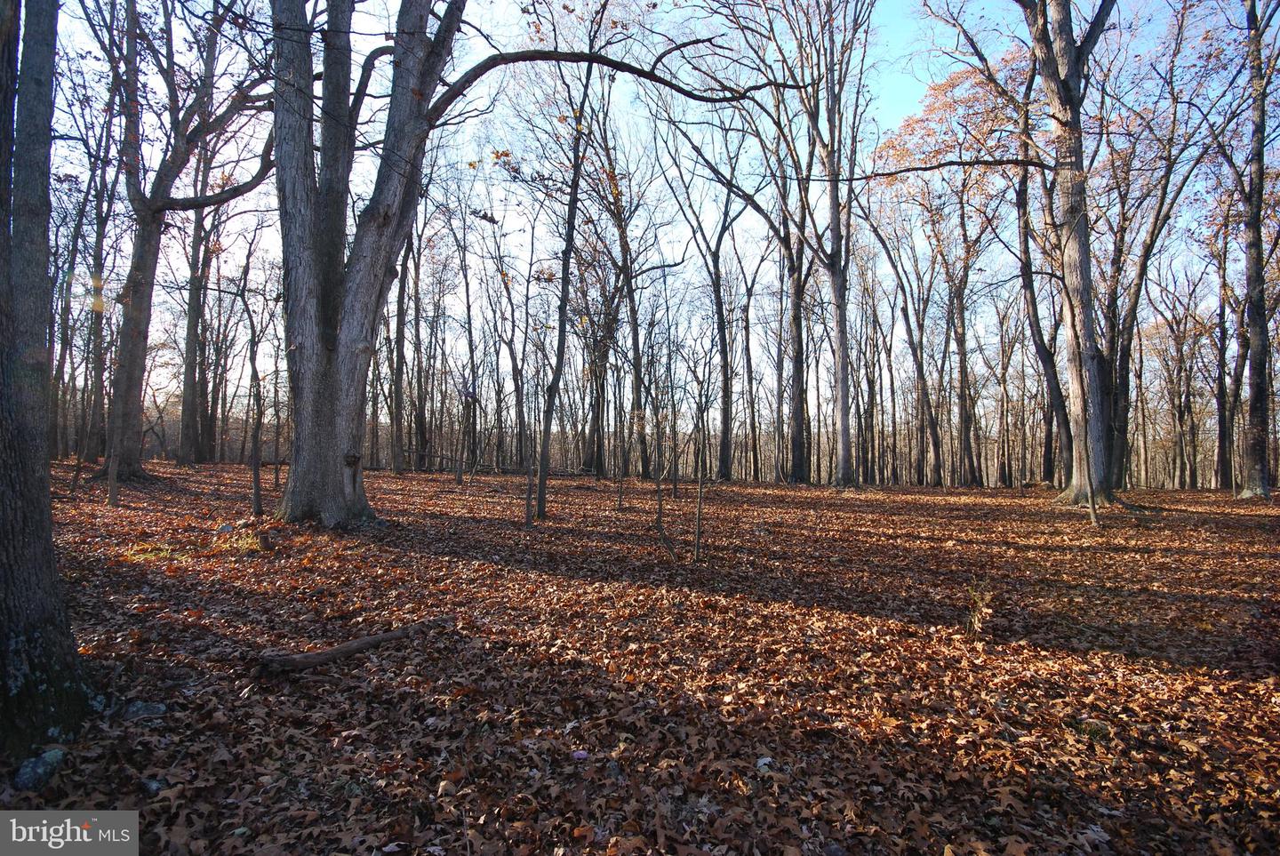 Lot 67 Mill Mountain Rd Property Photo 28