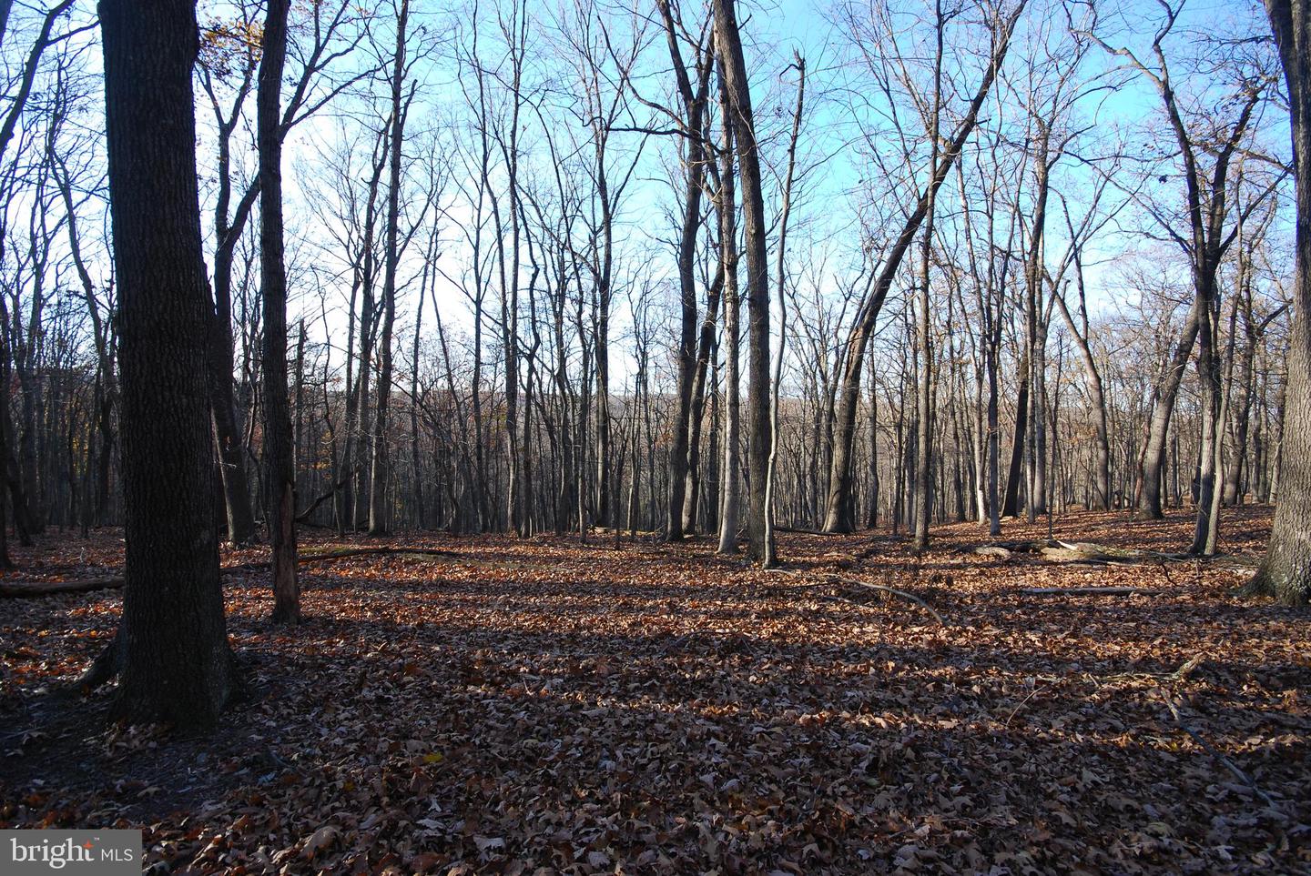 Lot 67 Mill Mountain Rd Property Photo 29