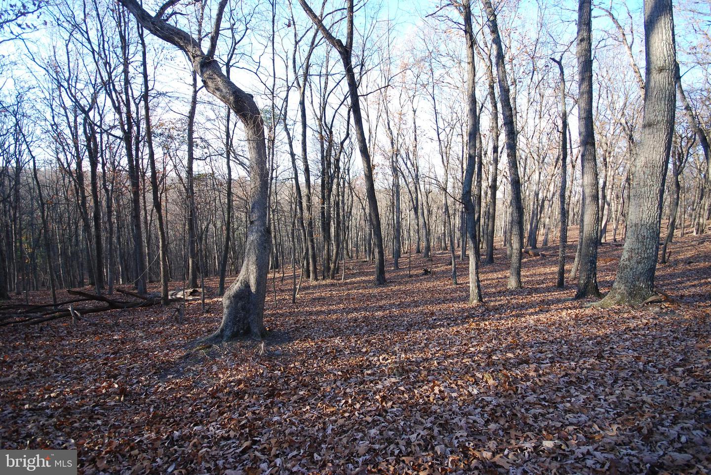 Lot 67 Mill Mountain Rd Property Photo 30
