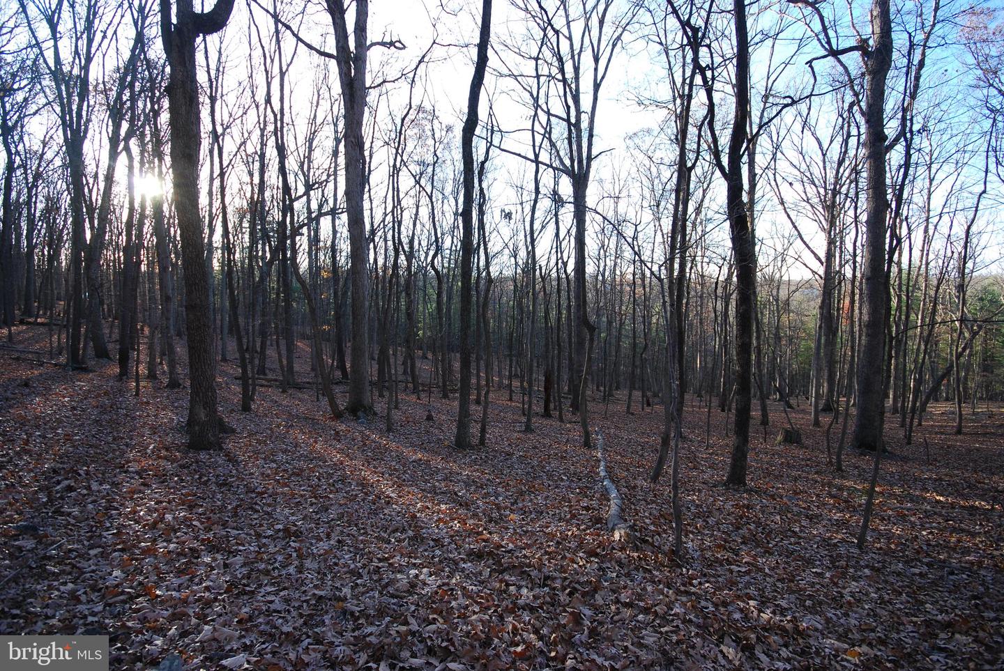 Lot 67 Mill Mountain Rd Property Photo 31