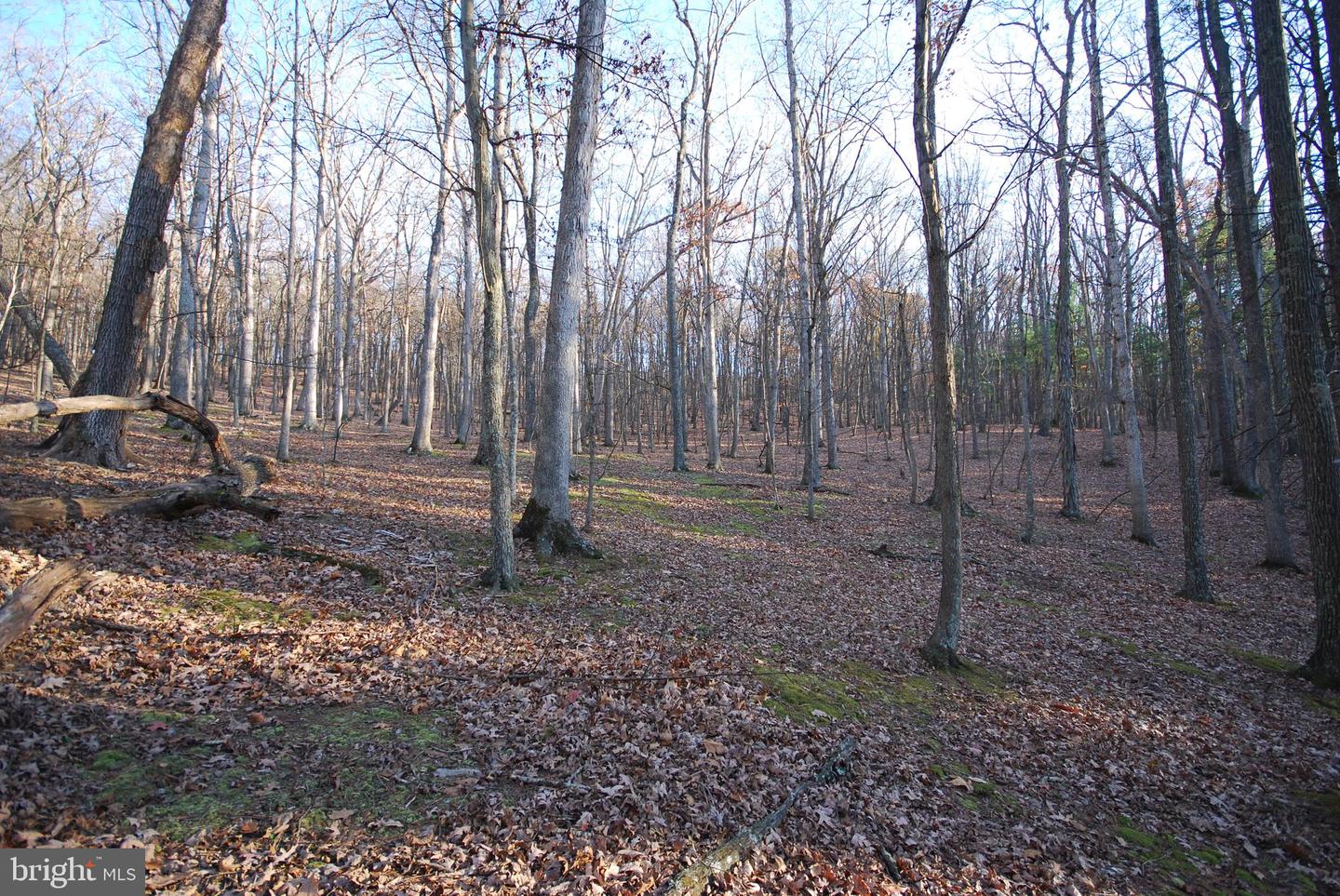 Lot 67 Mill Mountain Rd Property Photo 32