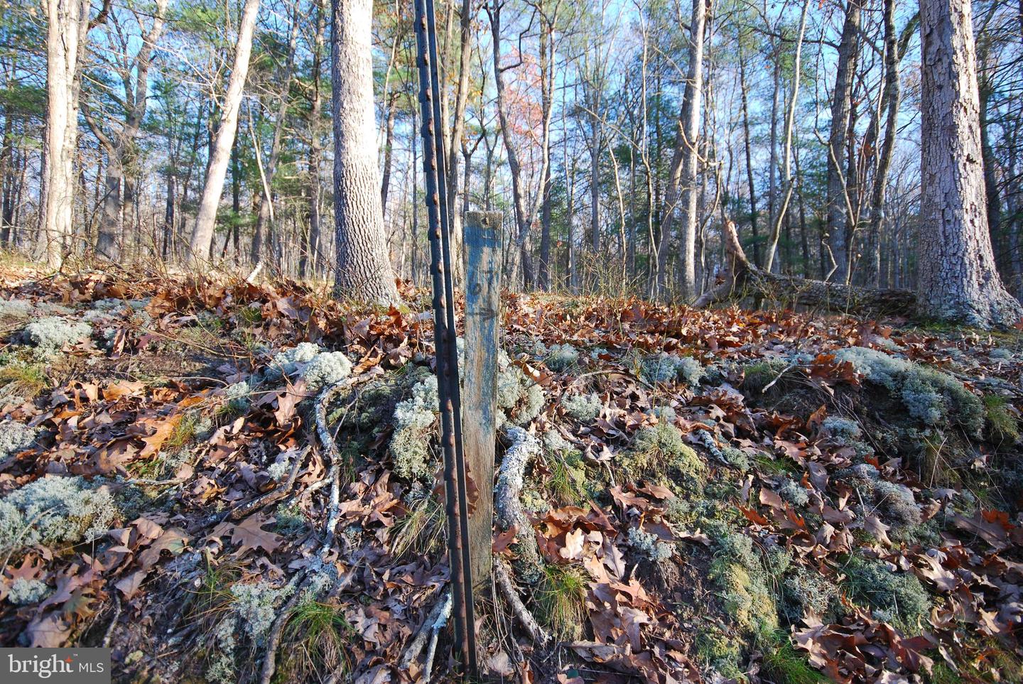 Lot 67 Mill Mountain Rd Property Photo 34
