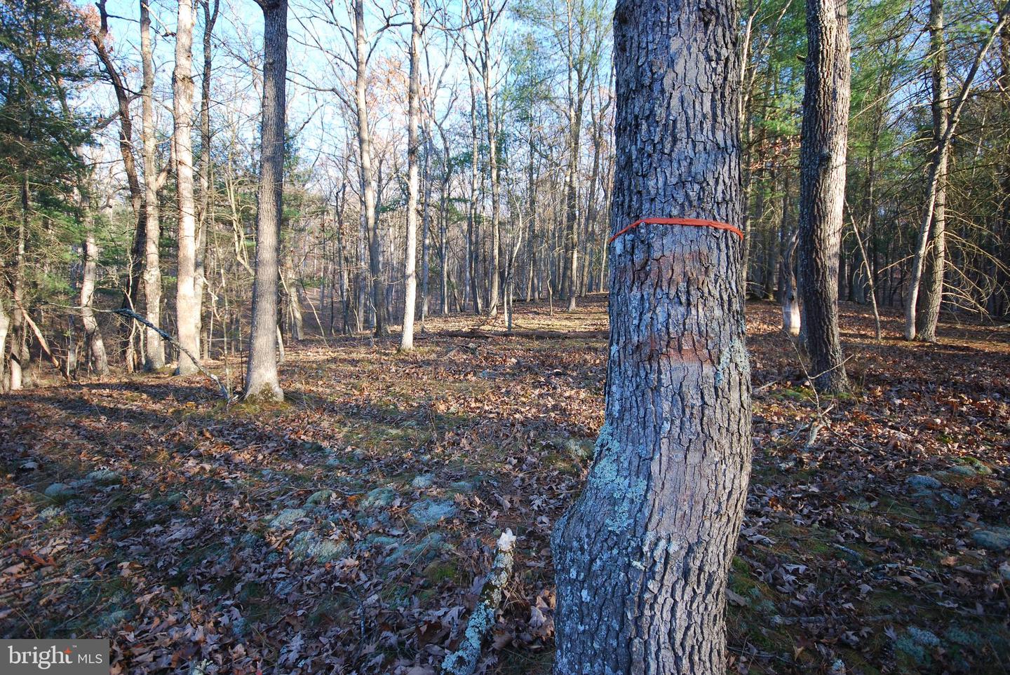 Lot 67 Mill Mountain Rd Property Photo 35