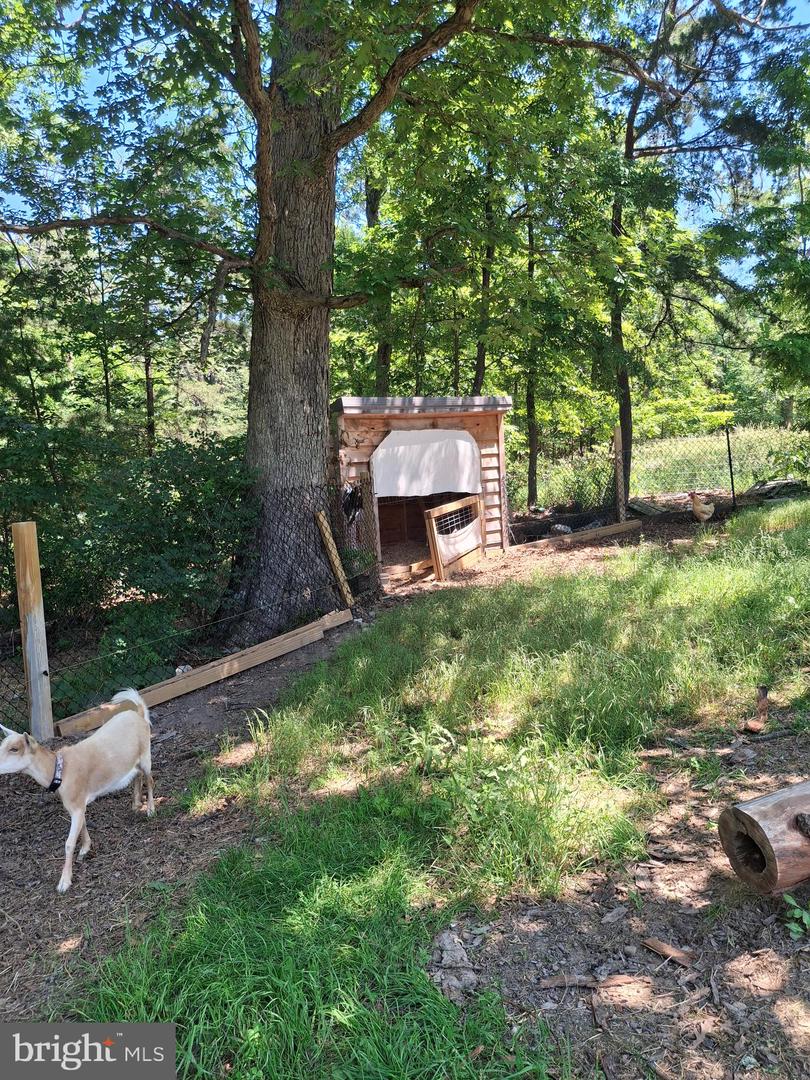 2334 Ash Ruckman Rd Property Photo 19