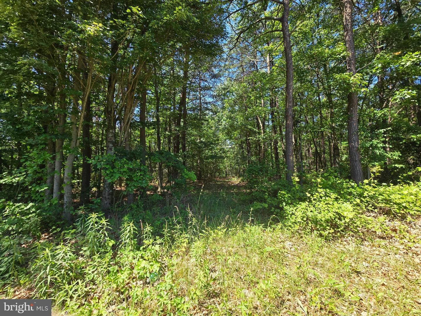 186 Big Oak Dr Property Photo 3