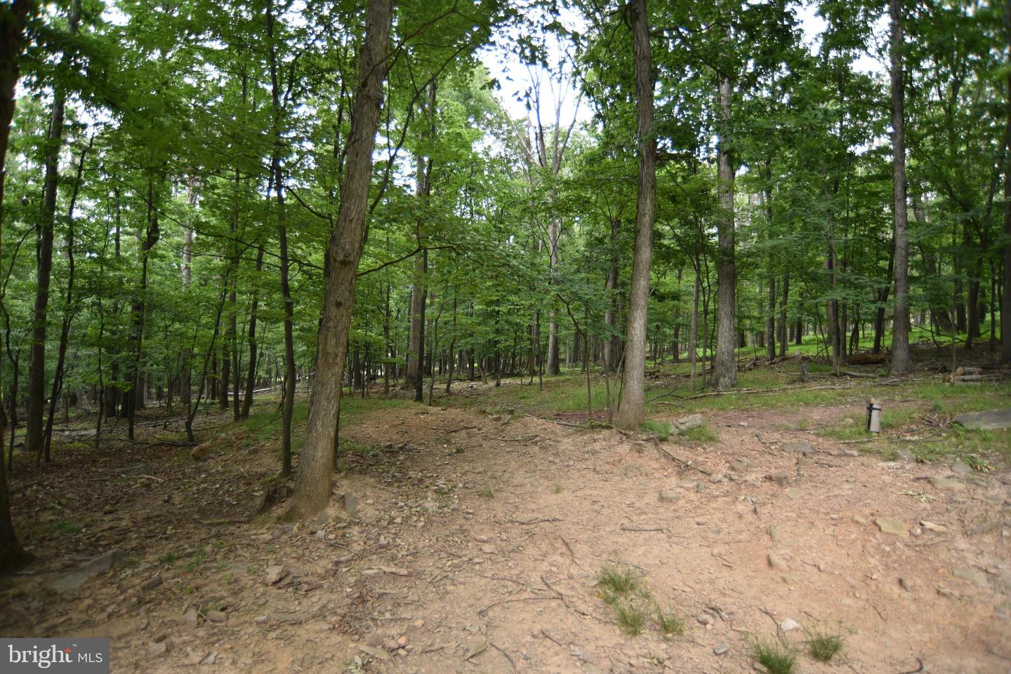 586 Cardinal View Rd Property Photo 7