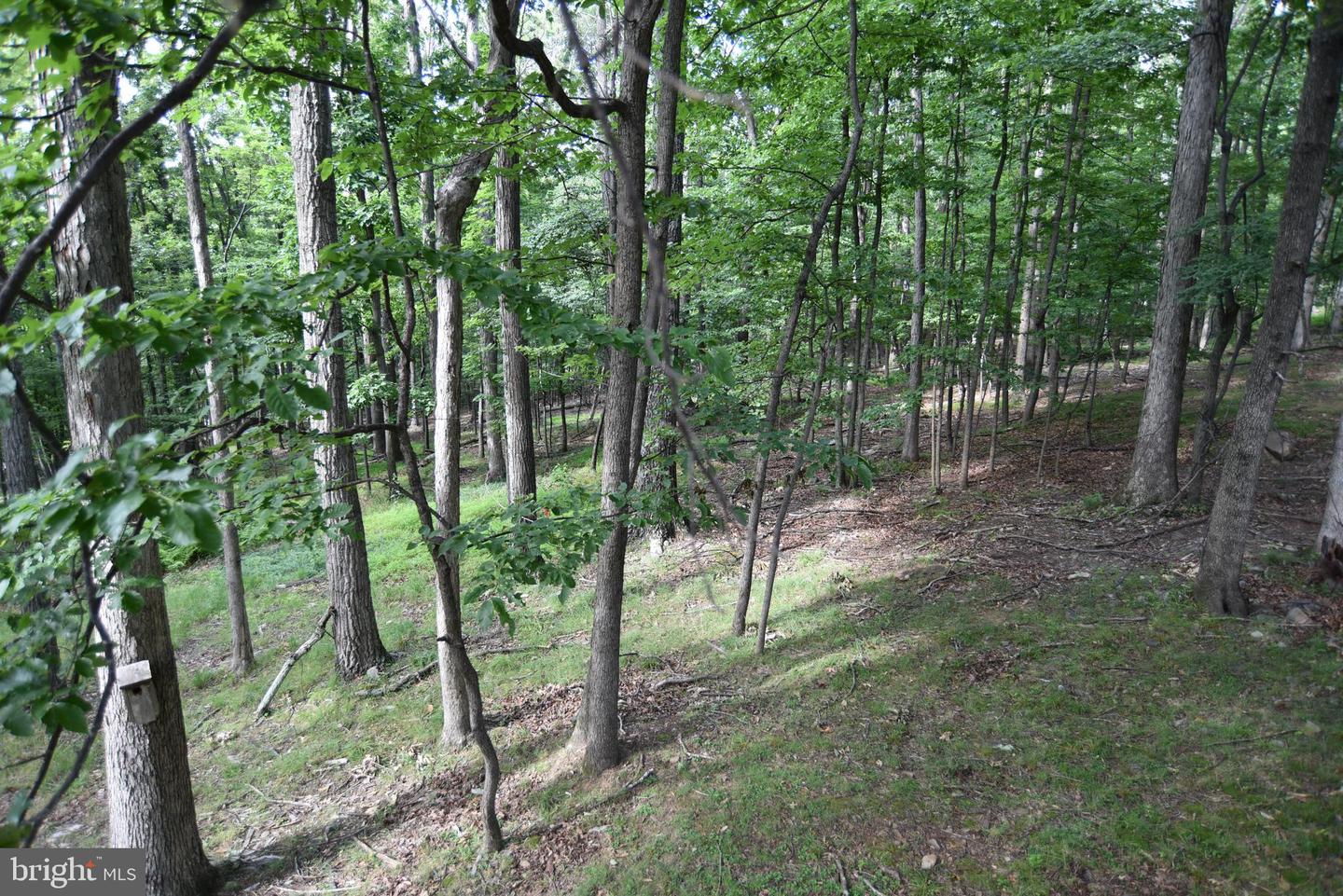 586 Cardinal View Rd Property Photo 23