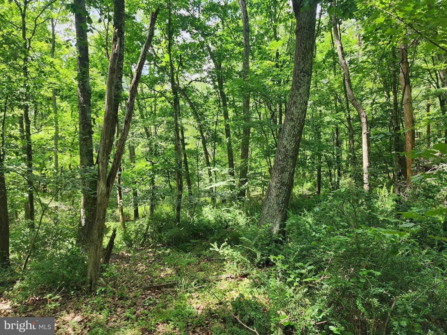 LOT 1 NATHANIEL MOUNTAIN HEIGHTS