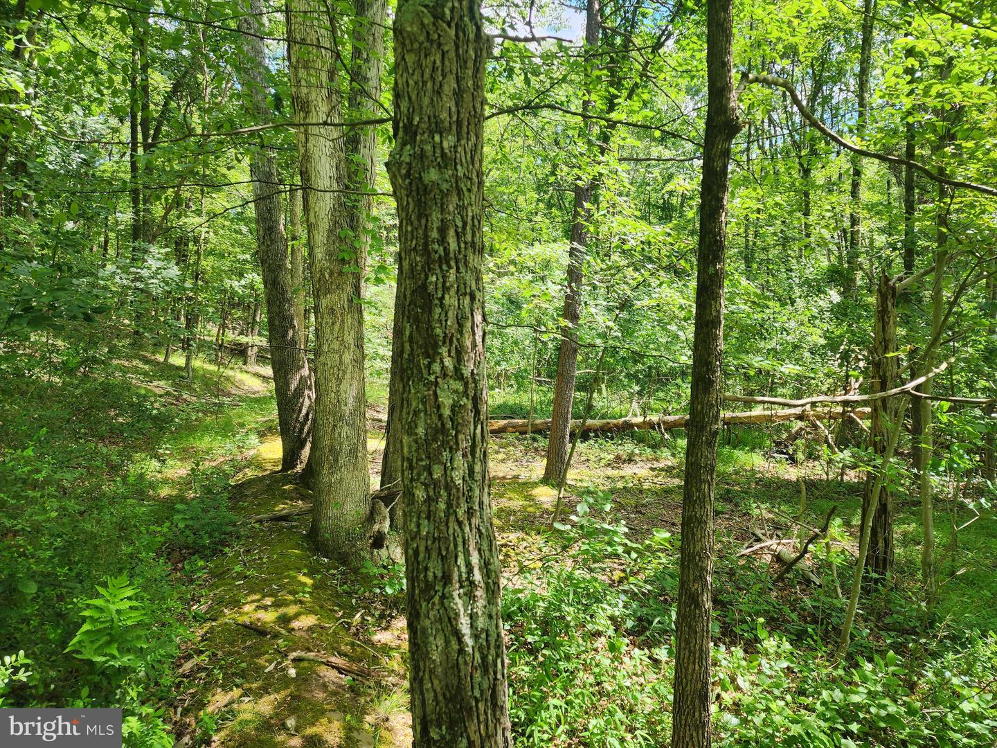 Lot 1 Nathaniel Mountain Heights Property Photo 2