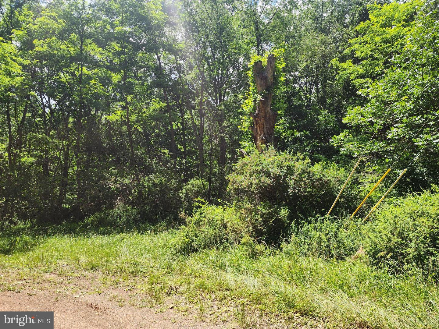 Lot 1 Nathaniel Mountain Heights Property Photo 4