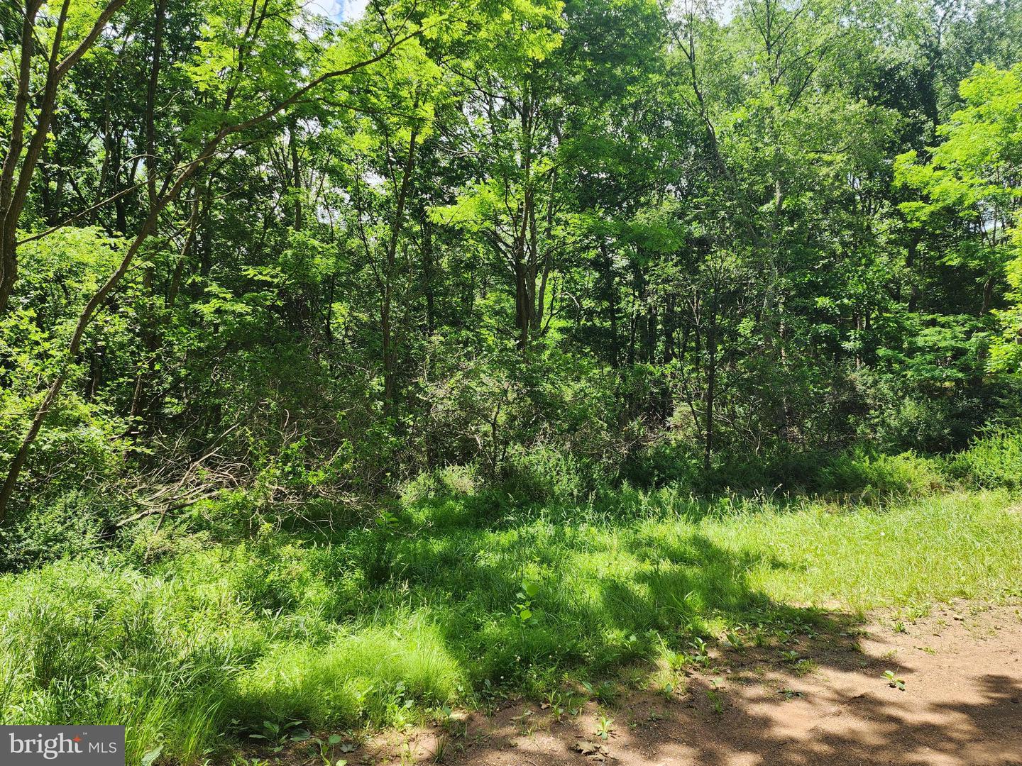 Lot 1 Nathaniel Mountain Heights Property Photo 5