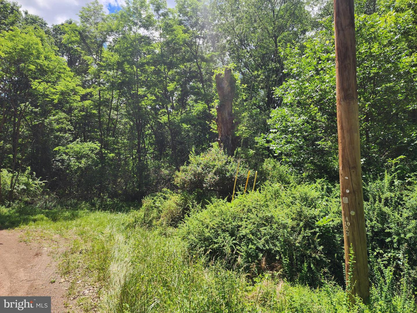 Lot 1 Nathaniel Mountain Heights Property Photo 6