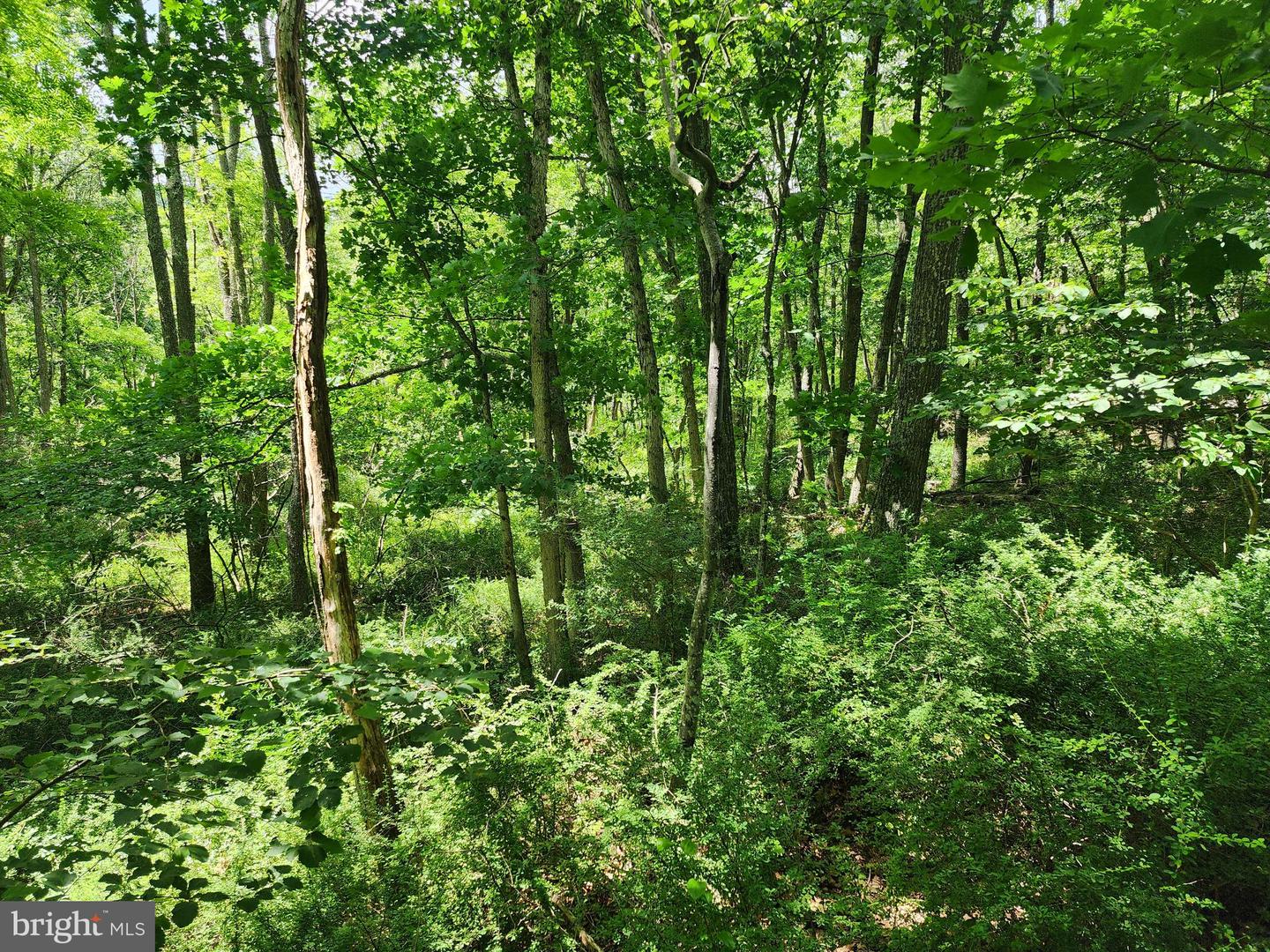 Lot 1 Nathaniel Mountain Heights Property Photo 8
