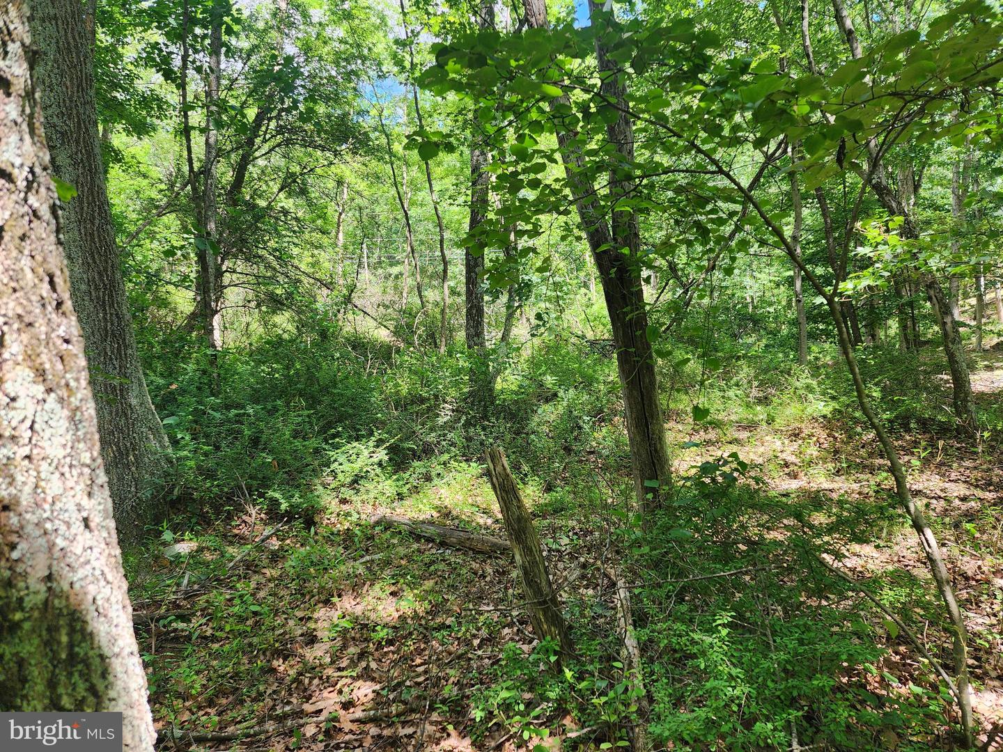 Lot 1 Nathaniel Mountain Heights Property Photo 9