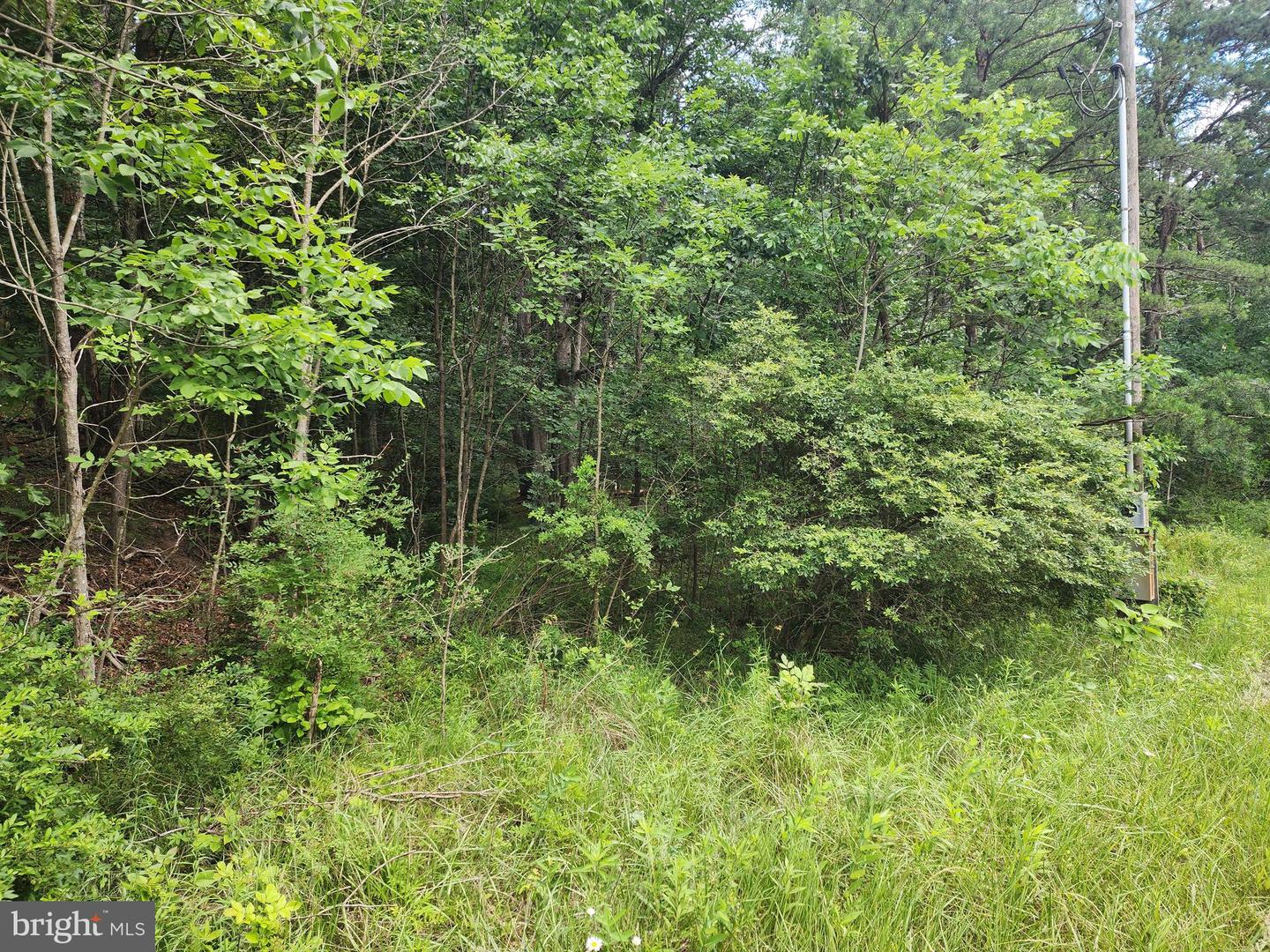 Lot 1 Nathaniel Mountain Heights Property Photo 11