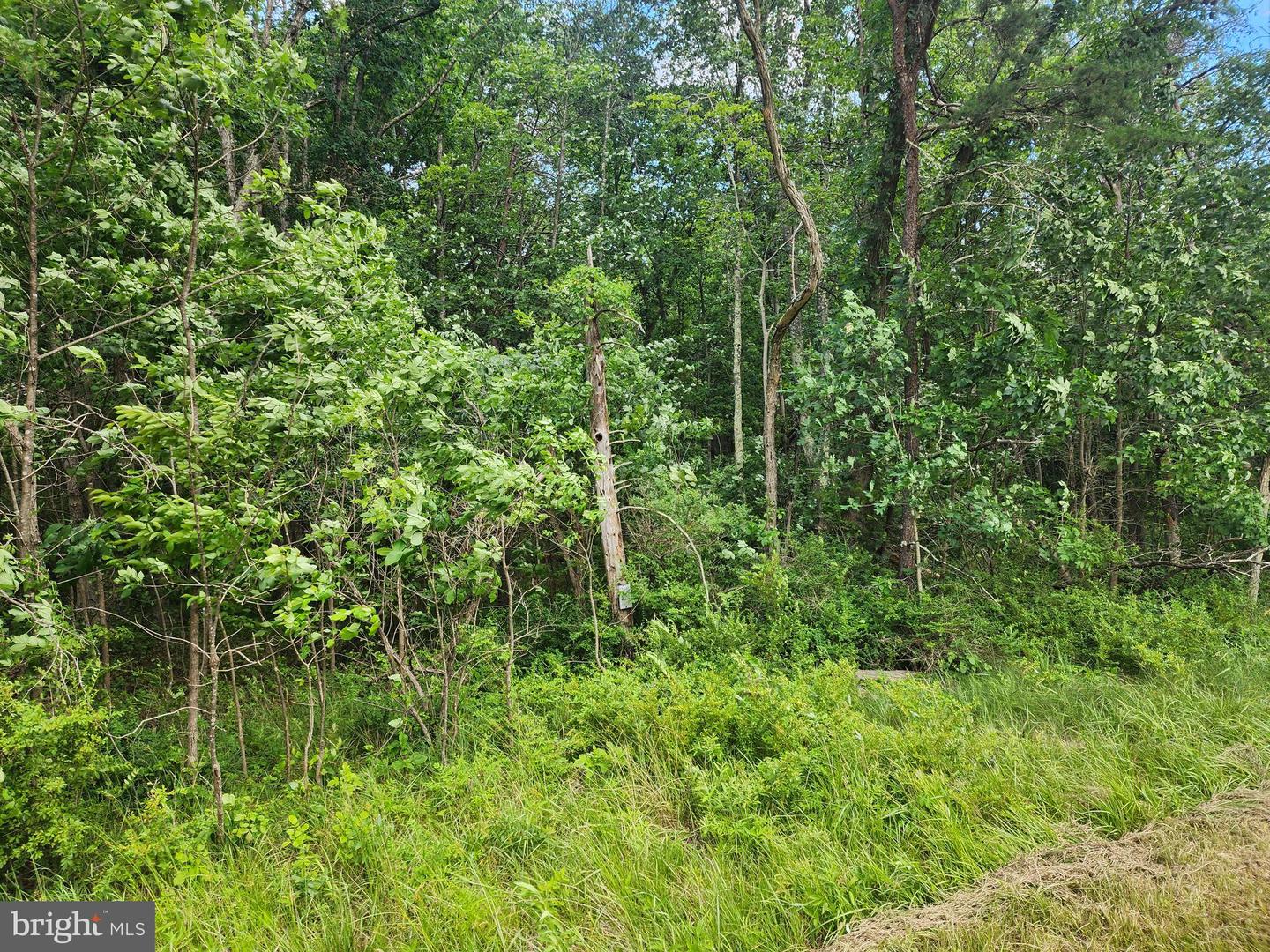 Lot 1 Nathaniel Mountain Heights Property Photo 12