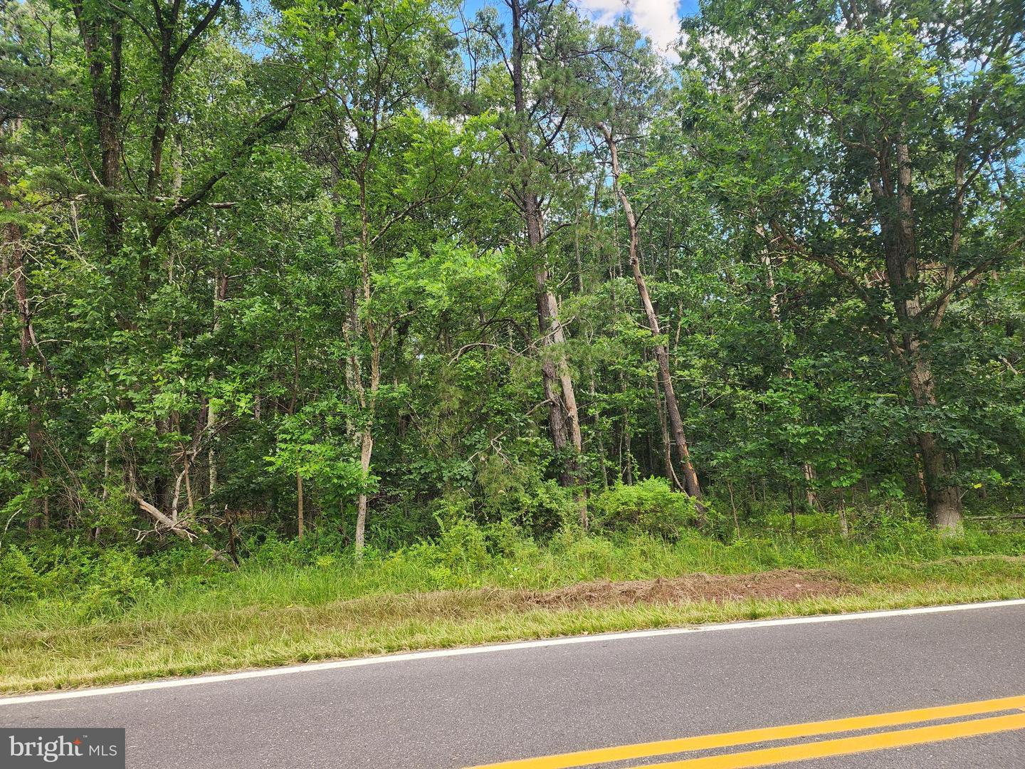 Lot 1 Nathaniel Mountain Heights Property Photo 13