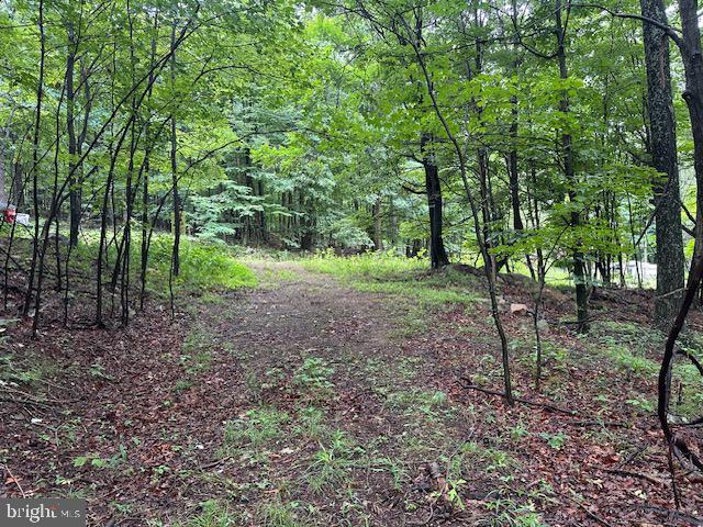 Lot 61 High Mountain View Rd Property Photo 1
