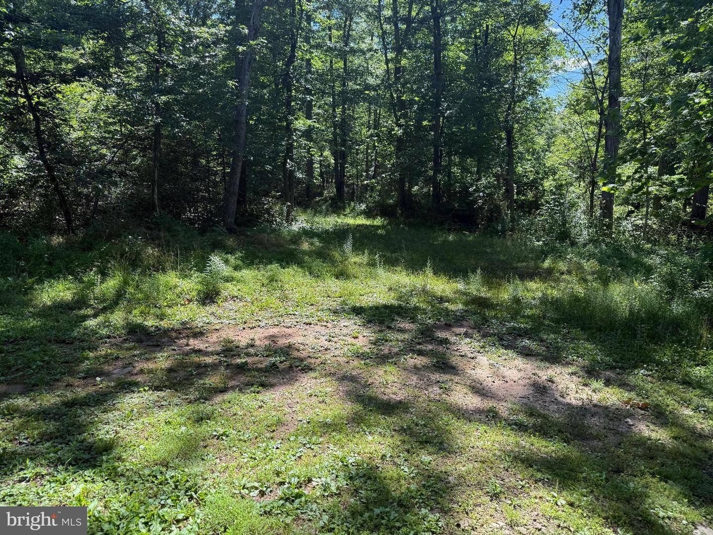 750 Hickory Corner Rd Property Photo 34