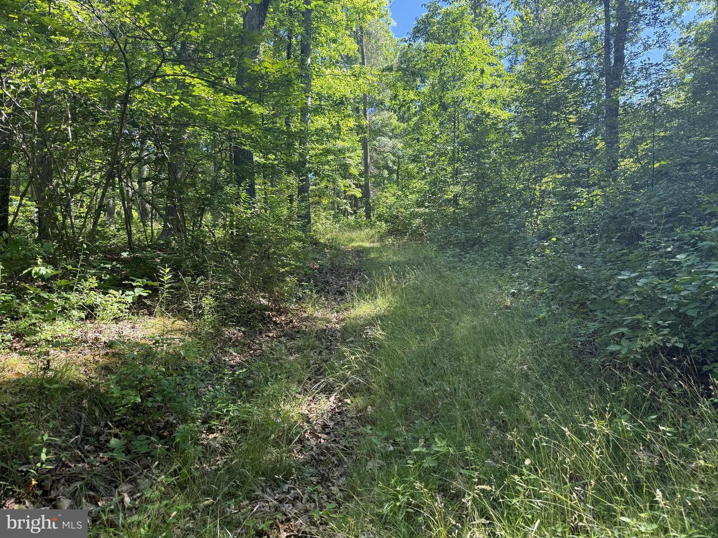 750 Hickory Corner Rd Property Photo 35