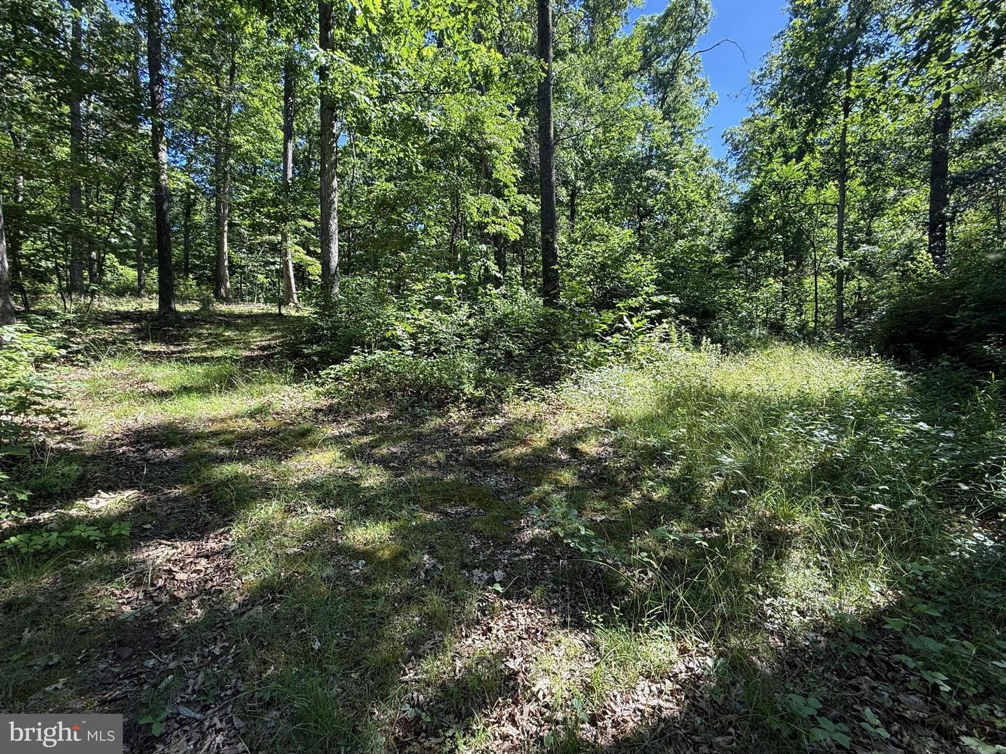 750 Hickory Corner Rd Property Photo 36