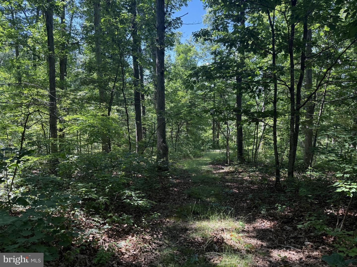 750 Hickory Corner Rd Property Photo 38