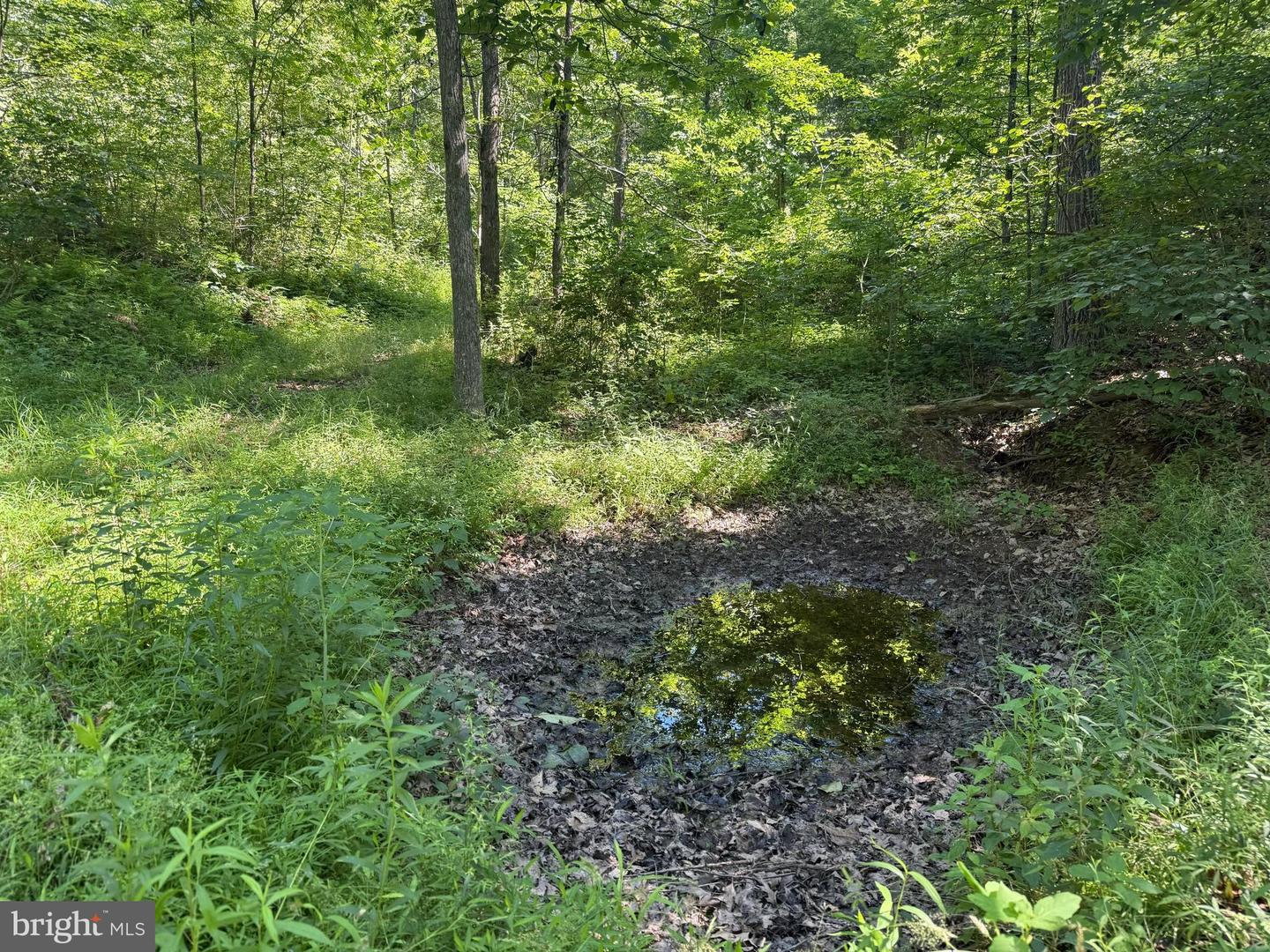 750 Hickory Corner Rd Property Photo 40