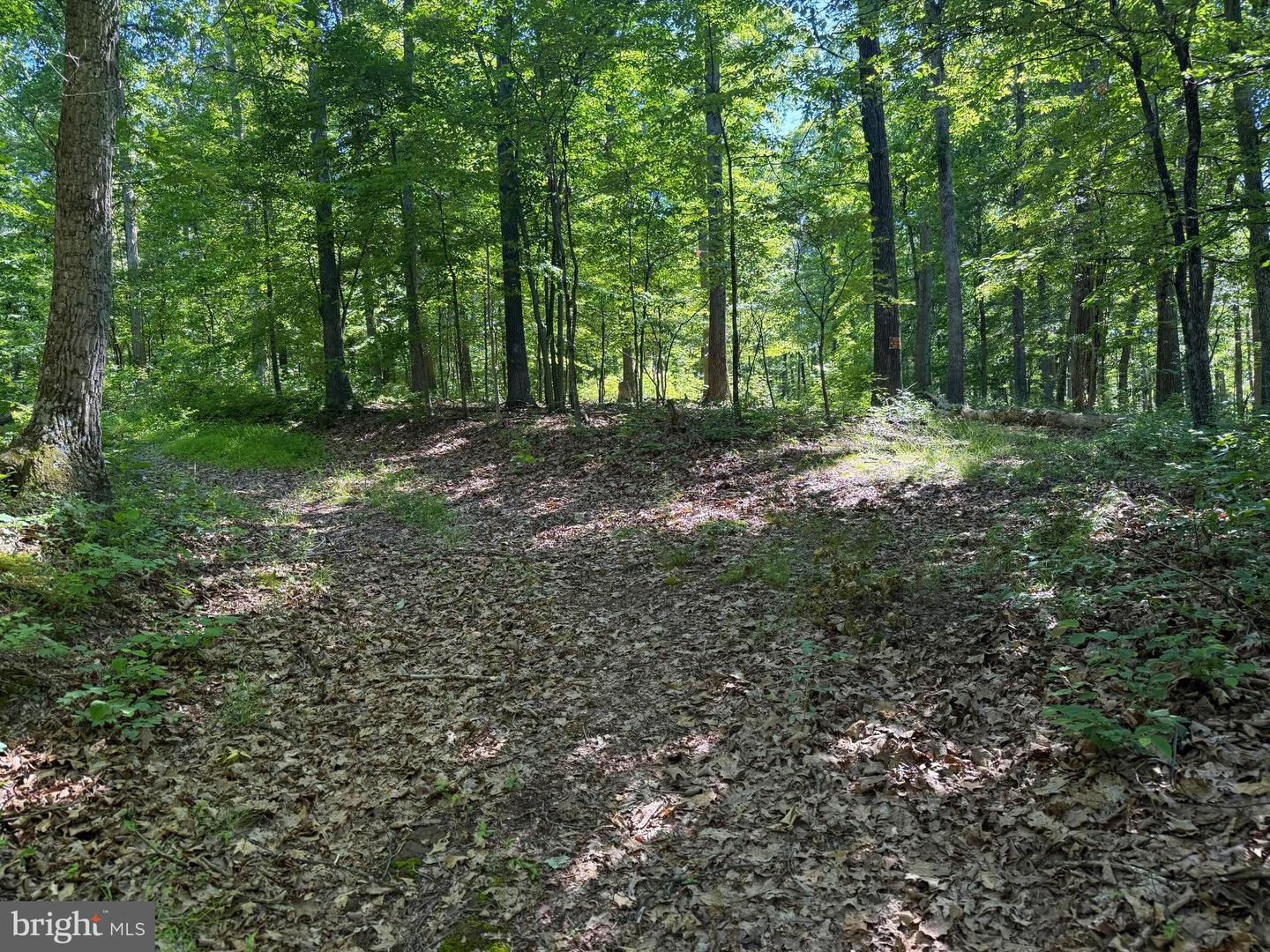 750 Hickory Corner Rd Property Photo 41