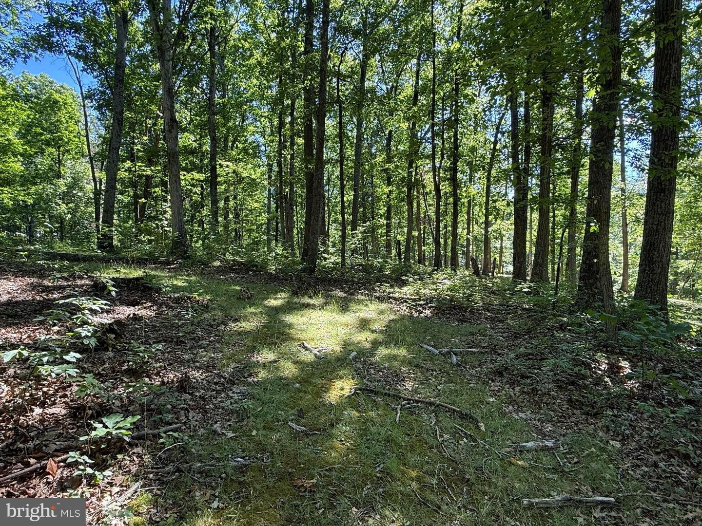 750 Hickory Corner Rd Property Photo 42