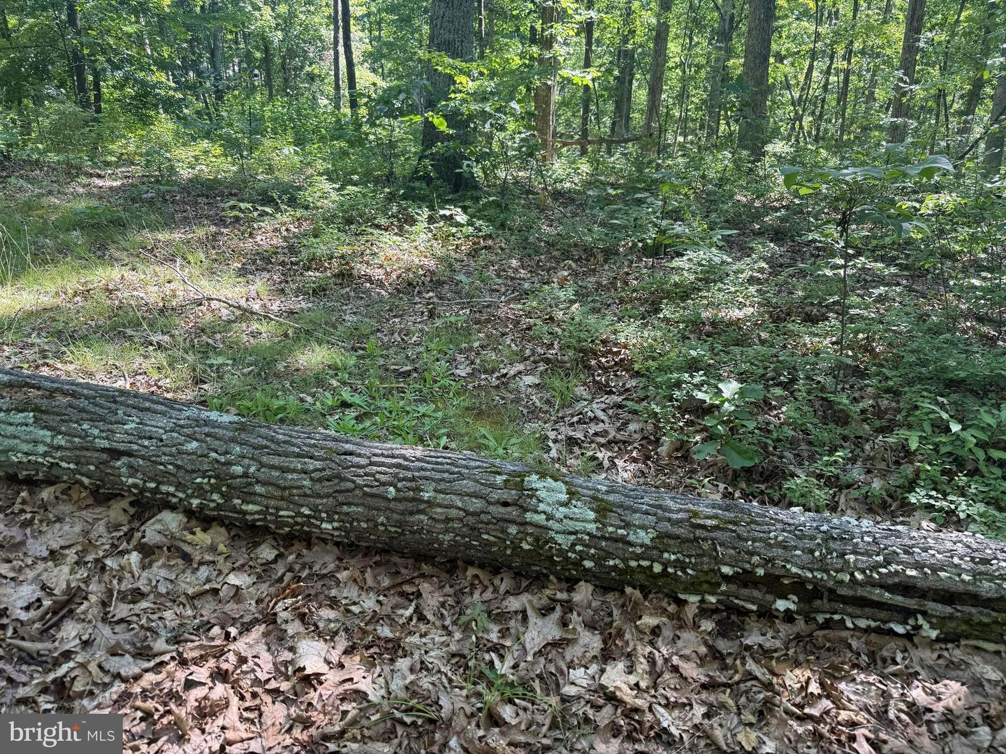 750 Hickory Corner Rd Property Photo 43