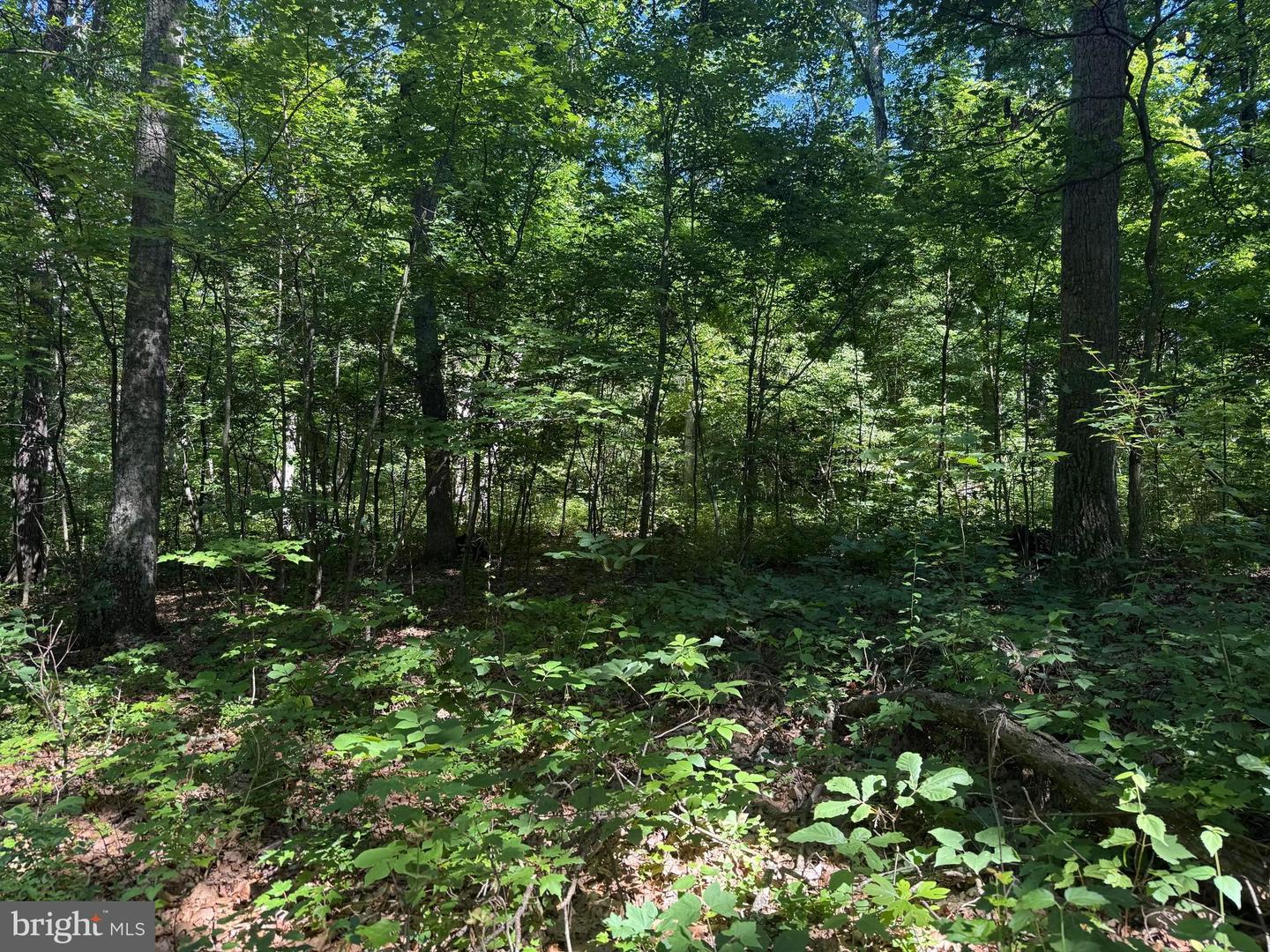 750 Hickory Corner Rd Property Photo 44