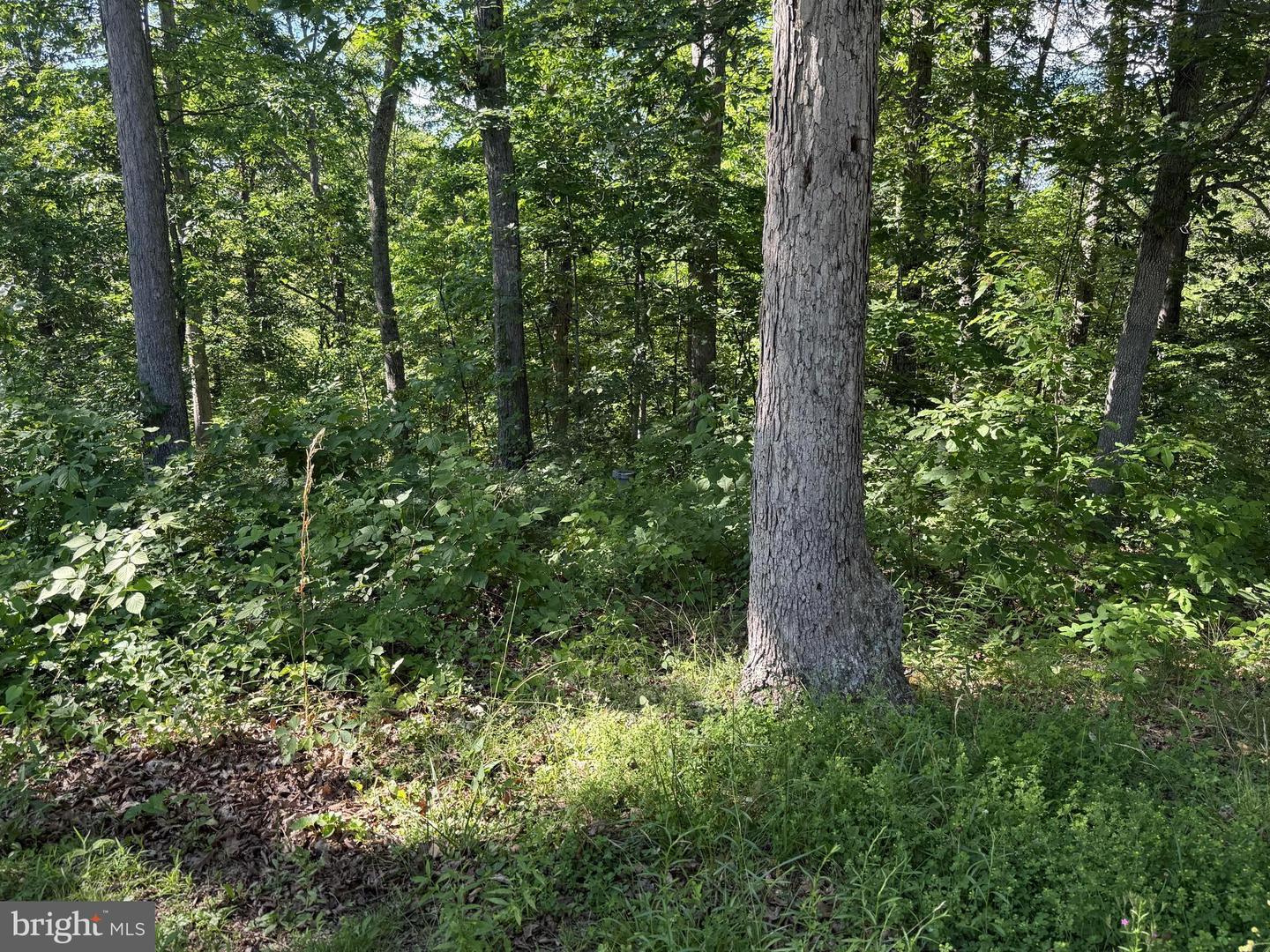 750 Hickory Corner Rd Property Photo 46