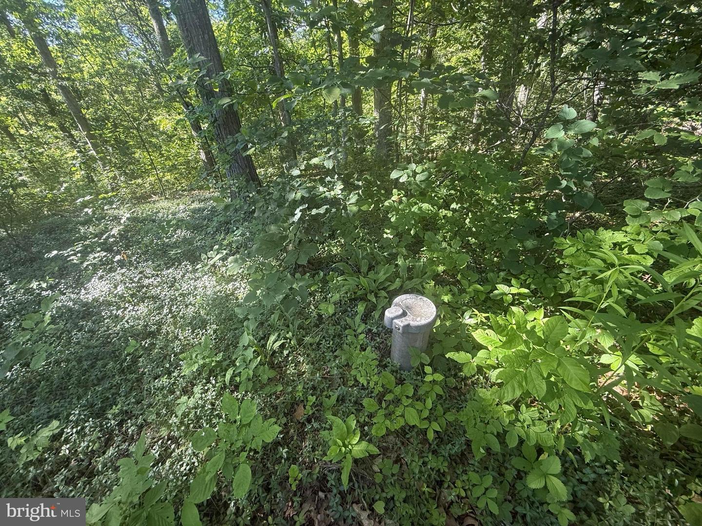 750 Hickory Corner Rd Property Photo 47