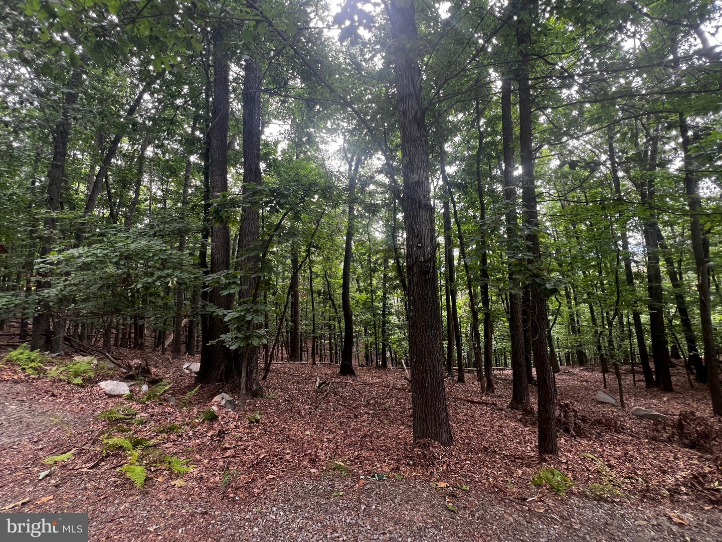17 Reymann Dr Property Photo 3