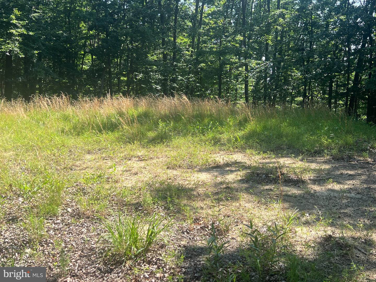 17 Reymann Dr Property Photo 12