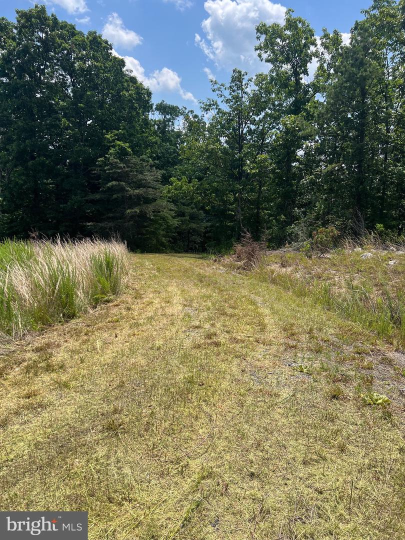 17 Reymann Dr Property Photo 25