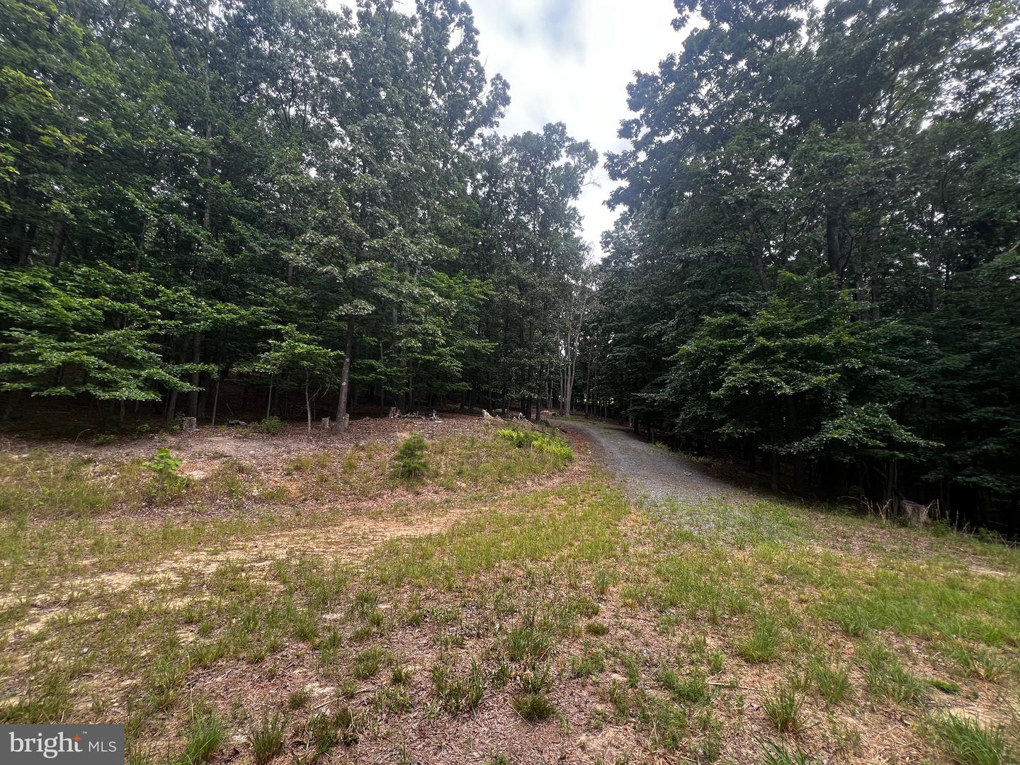 17 Reymann Dr Property Photo 27