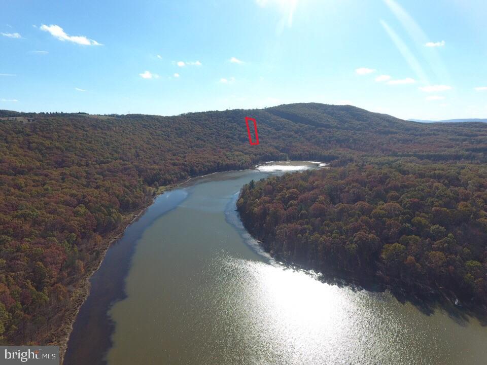 2614 Lake Ferndale Dr Property Photo 5