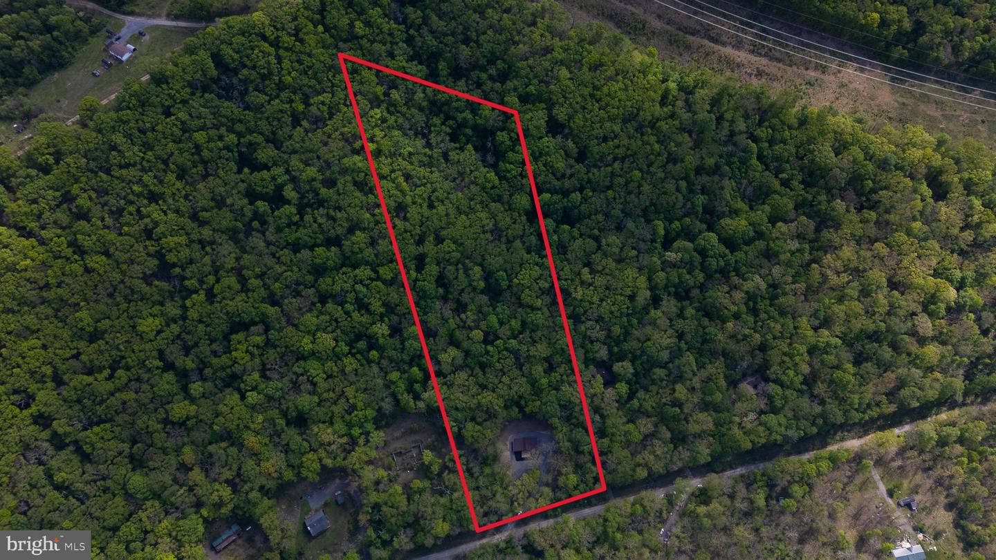 2614 Lake Ferndale Dr Property Photo 6